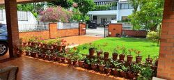 Shamrock Park (D10), Semi-Detached #587554271
